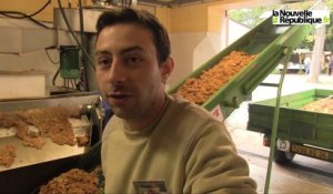 VIDEO. Fête de la pomme à Neuvy-St-Sépulchre : au paradis des gourmets