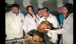 Un jeune mammouth presque intact de 38.000 ans exposé à Moscou