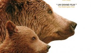 Grizzly - Bande-annonce [HD] [NoPopCorn]