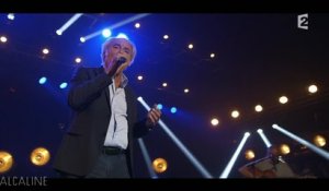 Alcaline, le Concert : Maxime Le Forestier - Né Quelque Part en live