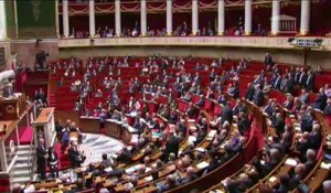 Duflot demande une minute de silence pour Rémi Fraisse à l'Assemblée: Bartolone refuse
