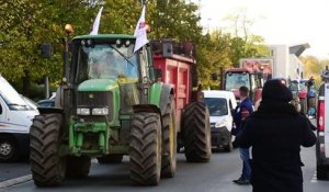 Béthune : 200 agriculteurs manifestent devant le siège de la DREAL