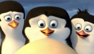 Bande-annonce : Les Pingouins de Madagascar - VO (3)