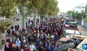 Manifestation des agriculteurs à Carcassonne : les raisons de la colère
