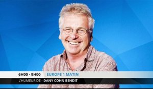 Que faisait Daniel Cohn-Bendit lors de la chute du mur de Berlin ?