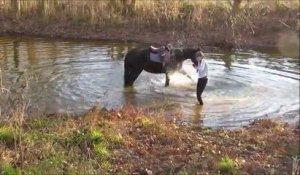 Un cheval découvre que jouer dans l'eau c'est cool! Fini la phobie de l'eau...