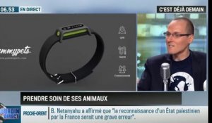 Un Collier Connecte Et Communautaire Pour Chiens Et Chats Sur Orange Videos