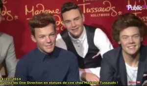 Exclu Vidéo : Les One Direction en statues de cire chez Madame Tussauds, les fans sont conquis !