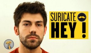 SURICATE - Hey !
