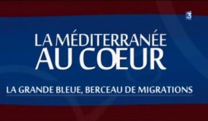 Revoir Méditerranée au Coeur, berceau des migrations