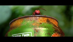 César 2015 du Meilleur film d'animation - Minuscule, la vallée des fourmis perdues