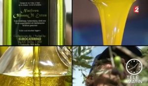 Le réchauffement climatique perturbe la production d'huile d'olive
