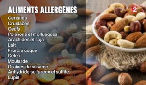Les restaurateurs doivent désormais indiquer les aliments allergènes présents dans leurs plats
