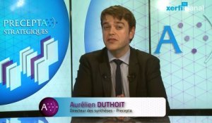Aurélien Duthoit, Xerfi Canal Sur le web, trop de pub tue la pub