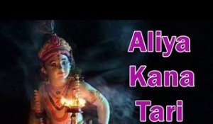 Aliya Kana Tari- Non Stop Garba By Ratansingh | New Gujarati Garba