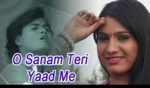 Pardeshi Aashique- O Sanam Teri Yaad Me | Most Popular Hindi Sad Song 2013