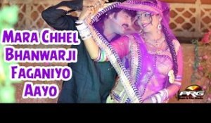 Mara Chhel Bhanwarji Faganiyo Aayo Ji | Holi Song | Romantic Song | DJ Remix Song