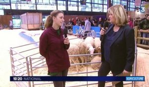 Salon de l'Agriculture : élection du meilleur berger de France