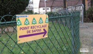 Comment recycler son sapin de Noël ?