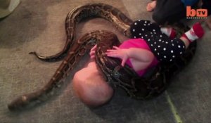 Un bébé joue avec un python de 3m qui s'enroule autour de lui.