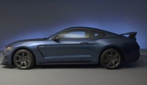 Detroit 2015 : la Ford Mustang GT350R n'est pas pour nous
