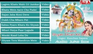 Lagwa Shyam Dhani Ke DJ | Rajasthani Audio Juke Box