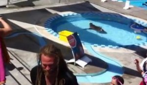 Un Lion de Mer skwatte une piscine