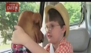 Ce chien abandonné a été recueilli et a changé la vie de ce garçon autiste