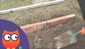 Comment planter une bordure de gazon (Ooreka.fr)