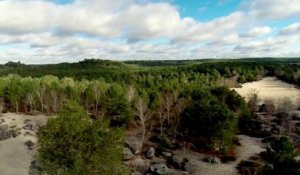 Fontainebleau, superbe prise de vue aérienne par un drone