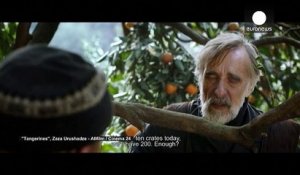 Tangerines : Une mandarine aux Oscars pour réconcilier Géorgiens, Abkhazes et Estoniens