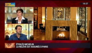 Présentation des nouveaux restaurants étoilés du Guide Michelin 2015: Guillaume Iskandar, David Toutain et Julien Boscus (3/5) - 08/02