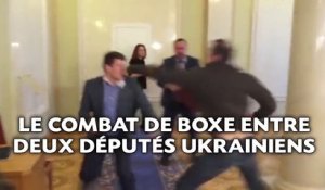 Le combat de boxe entre deux députés ukrainiens