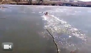 Il saute dans une rivière gelée pour sauver son chien. Héro du jour