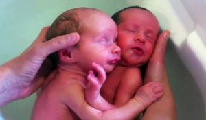 Incroyable, ces deux jumeaux ne réalisent pas encore qu'ils sont nés !