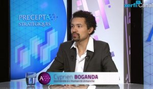 Cyprien Boganda, Xerfi Canal Le business des faillites