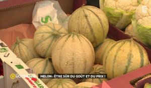 Melon : être sûr du goût et du prix