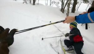 Un oiseau plus têtu que jamais sur les pistes de ski