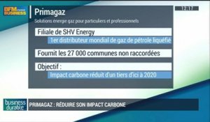 Primagaz s'engage a réduire d'un tiers son impact carbone d'ici 2020: Walter Delage (2/5) - 01/03
