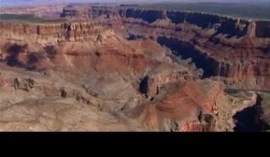 DRDA : Les wapitis du Grand Canyon