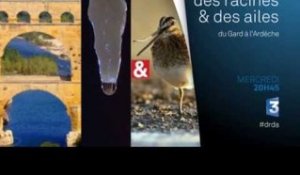 DRDA : Du Gard à l'Ardèche – Bande-annonce