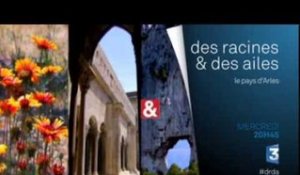 DRDA : Le Pays d'Arles - Bande-annonce
