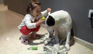 Une petite fille joue la vétérinaire avec un chien