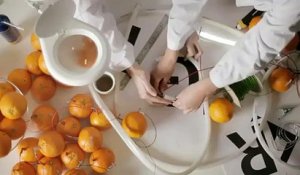 L'énergie naturelle par des oranges.