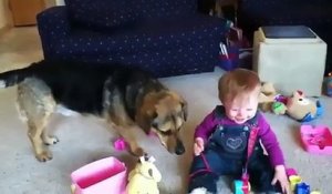Le bébé qui rit des bulles et du chien