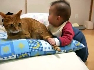 Le Bebe Qui A Decide D Ennuyer Le Gros Chat Sur Orange Videos