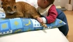 Le bébé qui a décidé d'ennuyer le gros chat