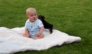 Un chiot joue avec un bébé. Trop mignon...