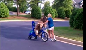 Une femme apprend le vélo à son chien