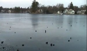 Des cailloux sur un lac gelé font le bruit de pistolaser